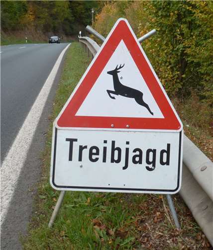 Das Forstamt Adenau appelliert daher an alle Autofahrer, die Geschwindigkeitsbeschränkungen einzuhalten. Andreas Michel