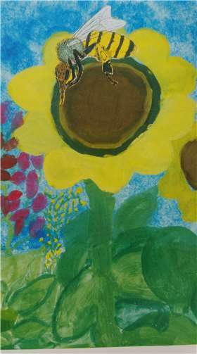 Das Foto ist der von der Aktionsgemeinschaft für den Schutz der Landschaft in Wachtberg und Umgebung herausgegebenen Broschüre: Heimische Bienen und Wespen, 1. Auflage 2002, entnommen.  Matthias Schindler.