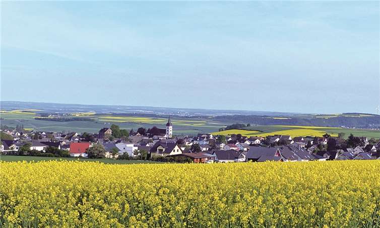 Das Foto zeigt einen Blick auf Obermendig. Auch der Hintergrund wird von den Rapsfelder beherrscht.K. H. Scheuren