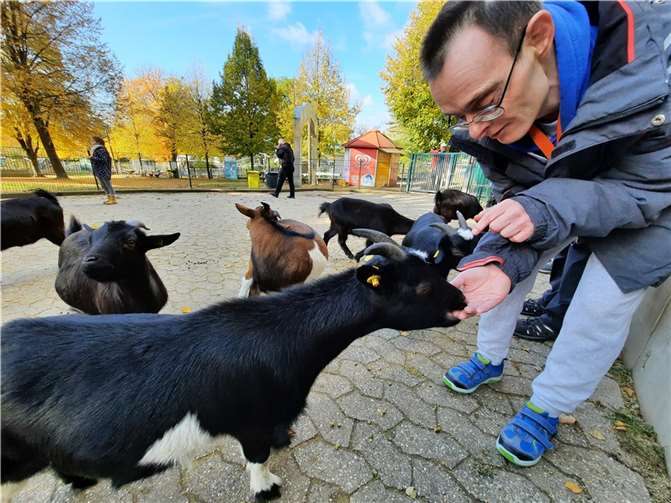 Das Füttern beschränkten die Besucher auf die Ziegen.Foto: privat