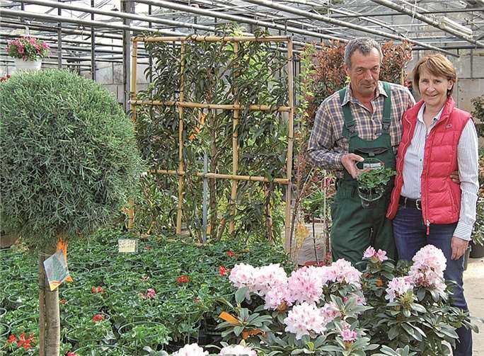 Das Gärtner-Ehepaar Franz-Josef und Hannelore Kraus in einem ihrer großen Gewächshäuser mit viel Toskana-Flair. FA