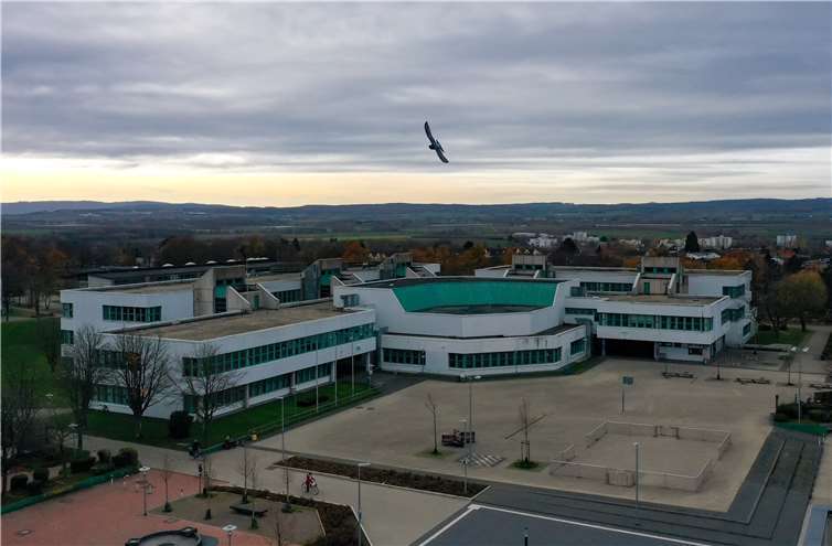 Das Gebäudeensemble der Geschwister-Scholl-Hauptschule und des Konrad-Adenauer-Gymasiums soll neu gebaut werden. Foto: CEW