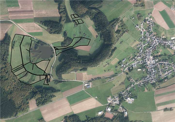 Bewirtschafter für Grünlandnutzung nach naturschutzfachlichen Vorgaben gesucht Das Gebiet am Booser Maar erstreckt sich auf circa 22 ha.