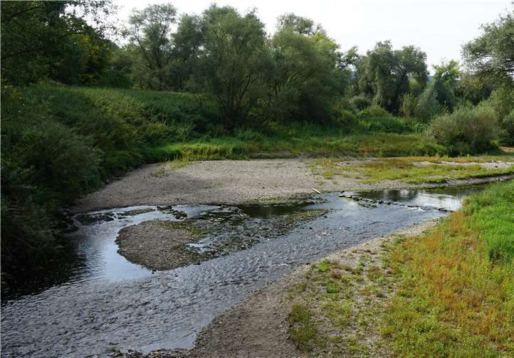 Das Gebiet der Ahrmündung zwischen Kripp und Sinzig. Foto: RO