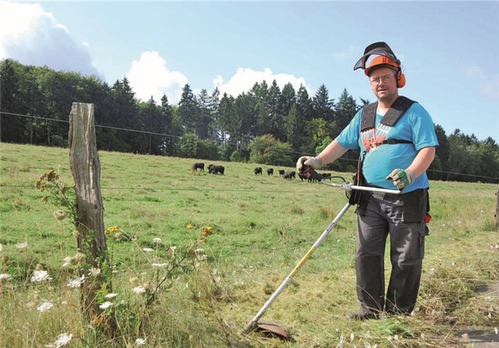 Das Gebiet wurde von Pflanzenwuchs befreit. privat