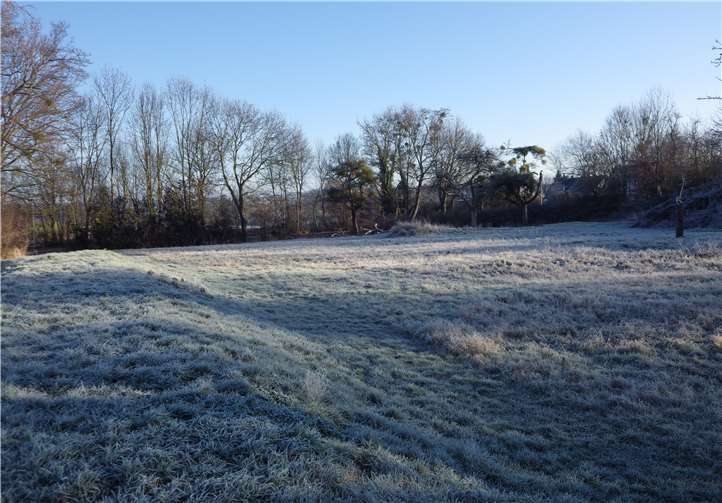Das Gelände auf dem Arenberg.Foto: privat