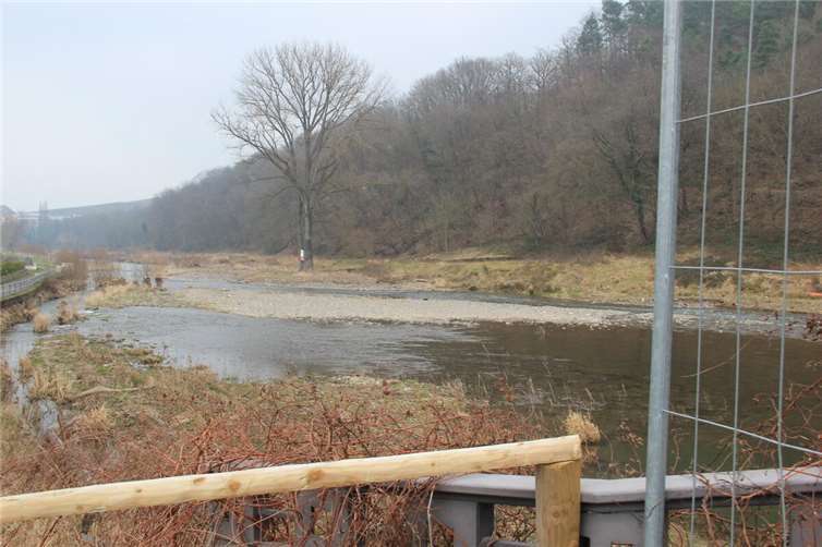 Das Geschiebe in der Ahr bei Walporzheim in Höhe des ehemaligen Josefsbrücke stellt bei Hochwasser eine Gefahr für das Weindorf dar und muss beseitigte werden.  Foto: GS