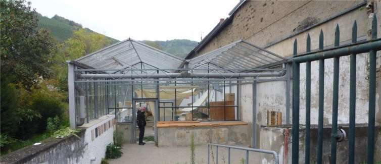 Das Gewächshaus wird bald abgerissen. Fotos: privat