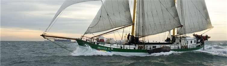 Das Greenpeace-Aktionsschiff Beluga II“ tourt zum Schutz der Arktis. Bente Stachowske/Greenpeace