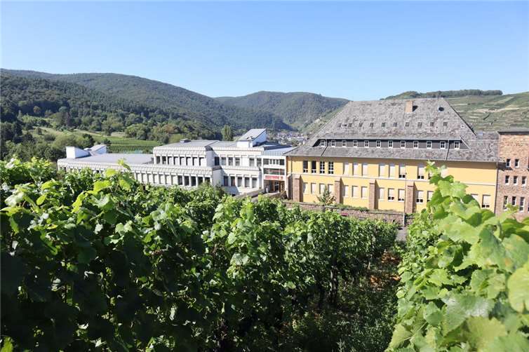 Das Gymnasium Calvarienberg öffnet seine Pforten.  Foto: privat