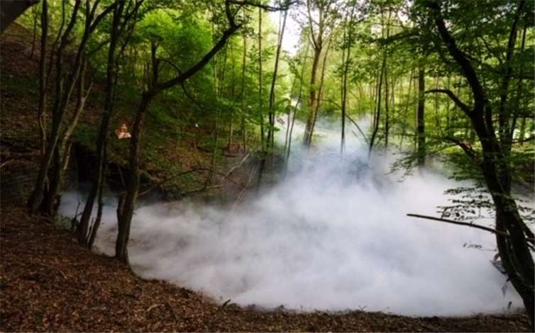 Das Hallerbachtal verraucht.