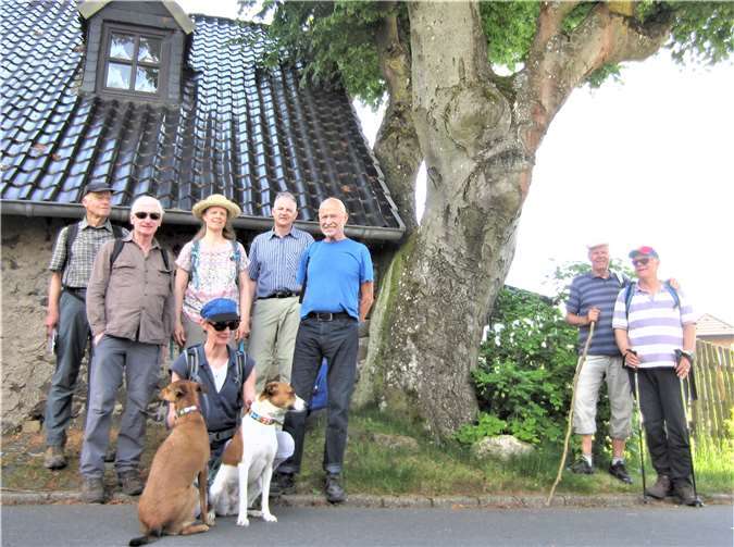 Das Haus hält der Buche stand.Foto: privat