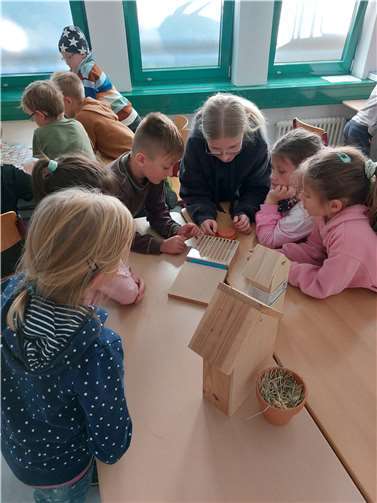 Das Herstellen einer Insektenglocke rundete die Krabbeltier-Woche ab.