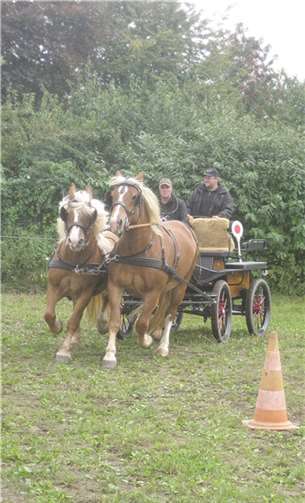 Das Highlight waren die angereisten Kutschgespanne.