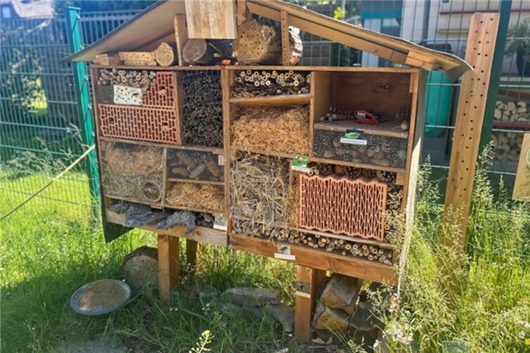 Das Insektenschutzgebiet unterstützt die nachhaltige Bildung der Kinder. 