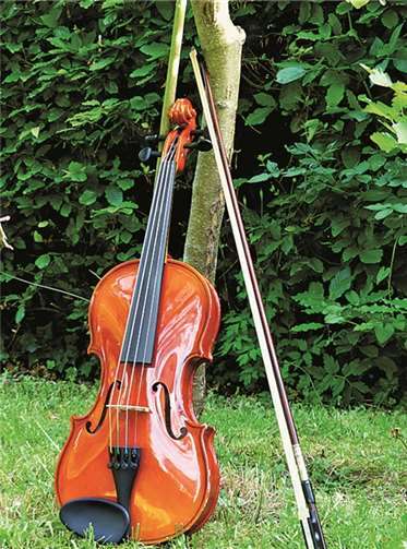 Das Jugendorchester benötigt dringend weitere fortgeschrittene Streicher.privat