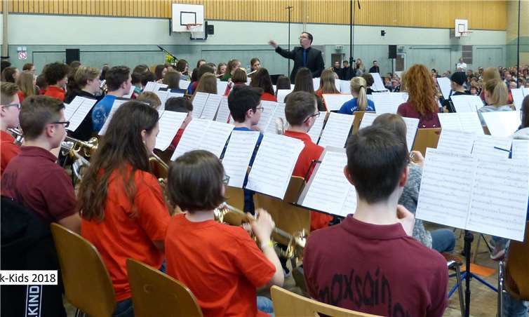 Das Kids-Orchester im vergangenen Jahr mit dem Dirigenten Christoph Zirfaß. Foto: privat