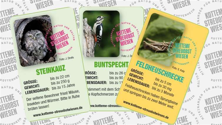 Das Kotteme Streuobstwiesen Quartett.