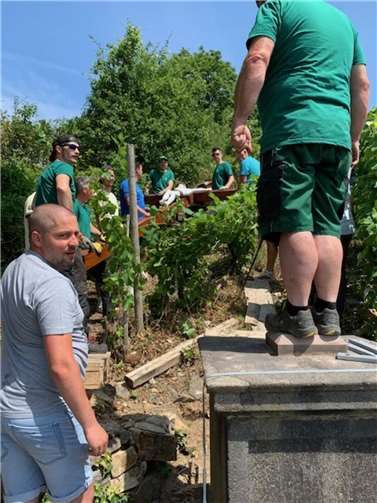 Das Kreuz zwischen den Weinstöcken.