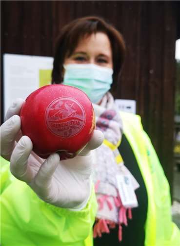 Das Logo des Sahrtal Trail 42K zierte die Äpfel, welche die Teilnehmer auf der Strecke erhielten.