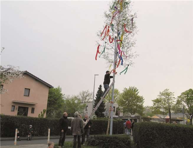 Das Maiansingen beginnt traditionell mit dem Baumaufstellen.  privat