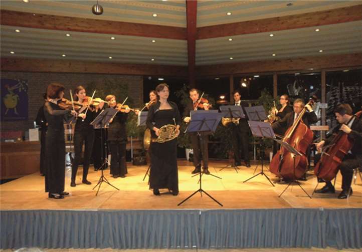 Das Mainzer Kammerorchester.privat