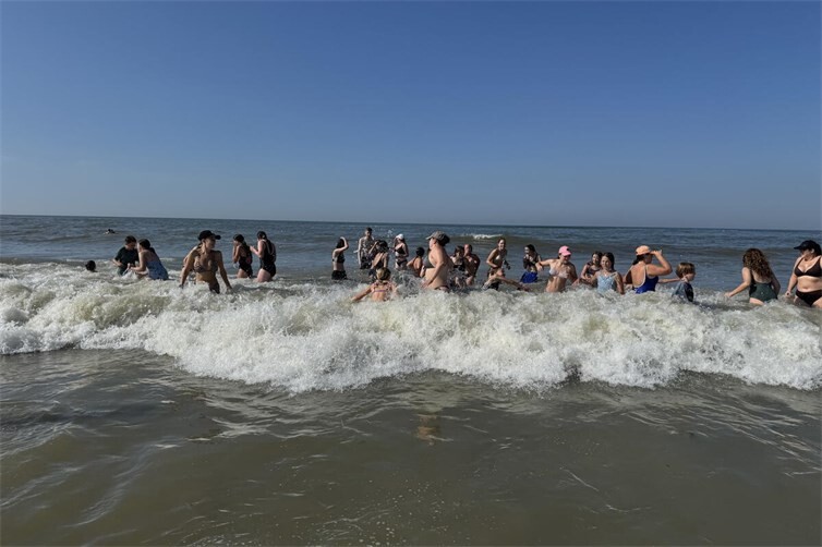 Das Meer genießen.