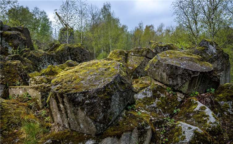 Das Mühlsteinrevier RheinEifel hat pünktlich zur Abgabefrist zum 30.06. seine Bewerbung um einen Platz auf der Tentativliste des Landes Rheinland-Pfalz abgegeben. Foto: privat