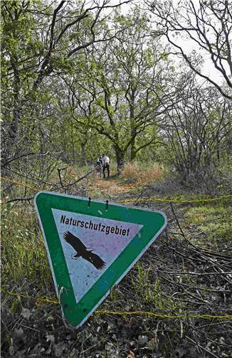 Das Naturschutzgebiet Michelberg. Foto: Kreisverwaltung/Morcinek