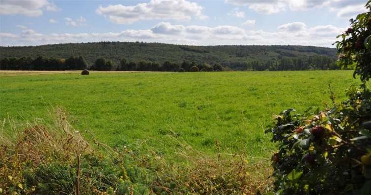 Das Naturschutzgebiet Stelzenbachwiesen bei Oberelbert ist Ziel einer Naturexkursion am 3. Mai. privat