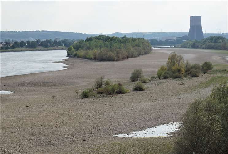 Das Naturschutzgebiet Urmitzer Werth ist trockenen Fußes erreichbar. FF