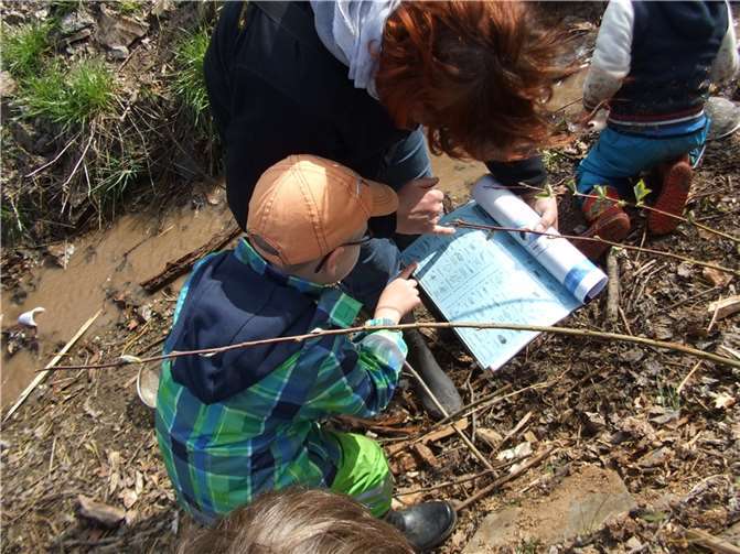 Das Netzwerk Umweltbildung Rhein-Mosel bietet Vor- und Grundschulkindern viele interessante Natur- und Umwelterlebnisse. Foto: Kreisverwaltung/L.Jaeger