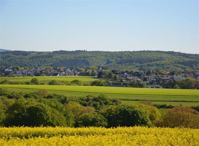 Das OVG Koblenz ordnete die Weiterführung des Flurbereinigungsverfahrens an. Quelle: DLR WW-OE