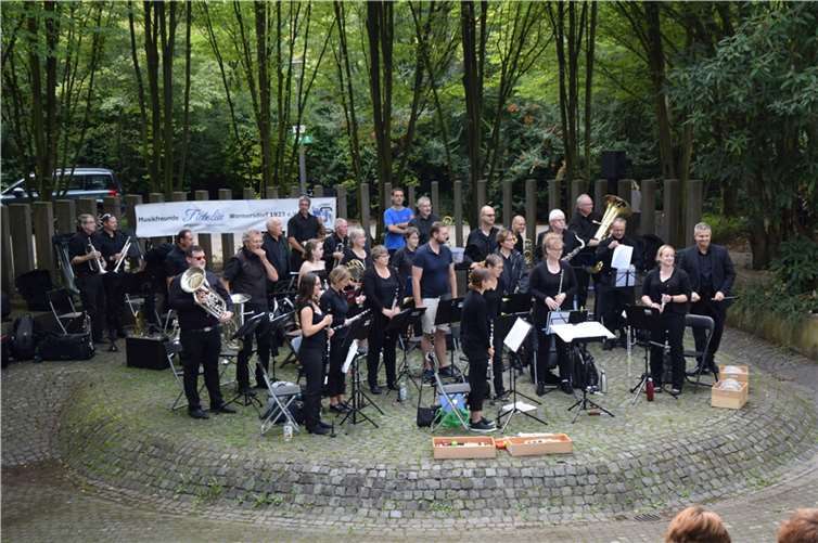 Das Orchester im September beim Mitmachkonzert im Rheinbacher Freizeitpark. Foto: privat