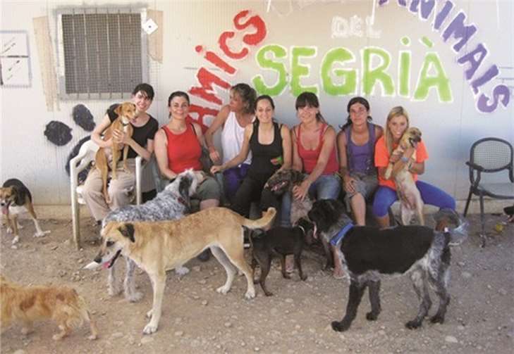 Das Partner-Tierheim in Lleida/Spanien mit selbstlosem Helferteam. privat