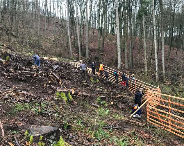 Das Pflanzen war schwierig, denn zunächst musste das Terrain geräumt werden.