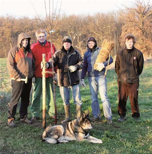 Das „Pflanzteam“ (v.l.n.r.) Norbert Sauren, Hartmut Kircher, Peter Meyer, Rolf Müseler und Philip Kuchem. Christine Kuchem