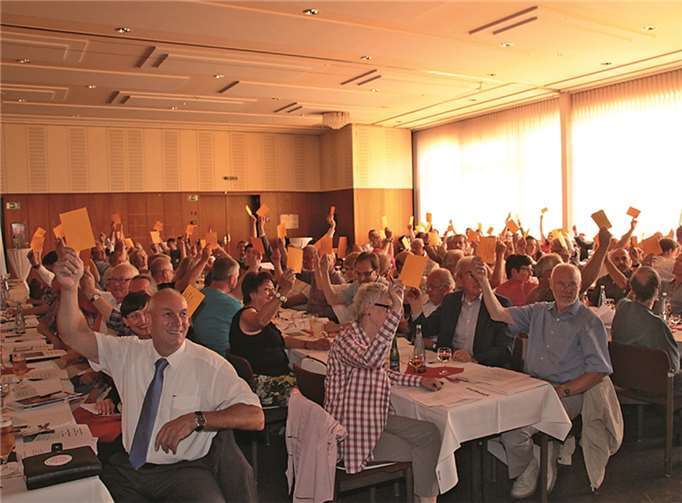 Das Plenum bei der Abstimmung.
