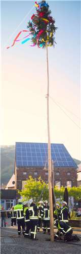 Das Prachtstück steht, der Mai ist gekommen…Fotos: TT: