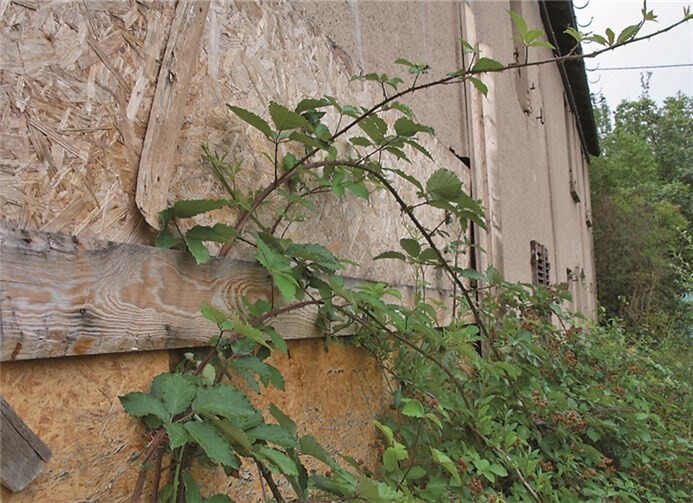 Das Problem der Sternstraße in Swisttal-Essig soll angegangen werden.Privat