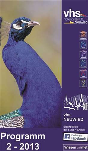 Das neue Programm ist da