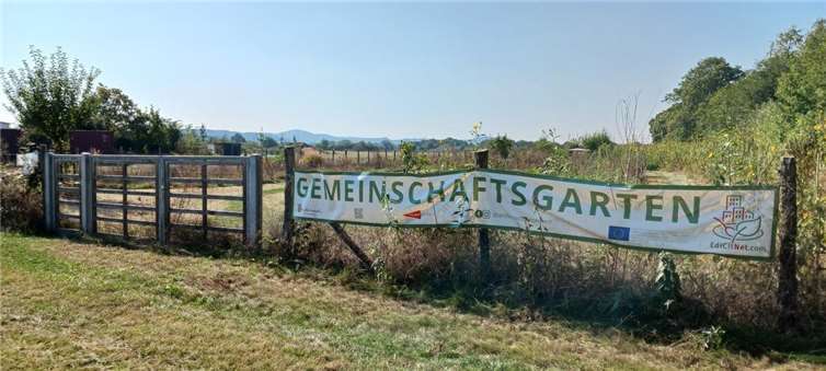 Das Projekt „Gemeinschaftsgarten Andernach“ läuft nun seit Mai 2022 und hat seitdem immer mehr Mitglieder gewonnen. Foto: privat