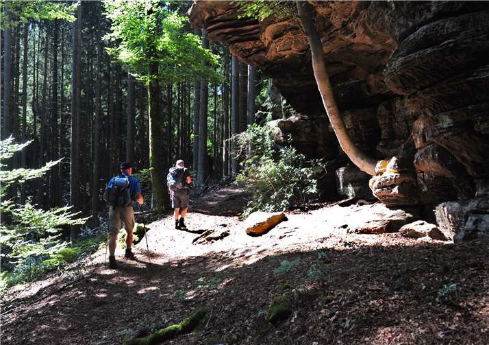 Das Publikum wird durch eine spannende Bilderreise geführt.privat