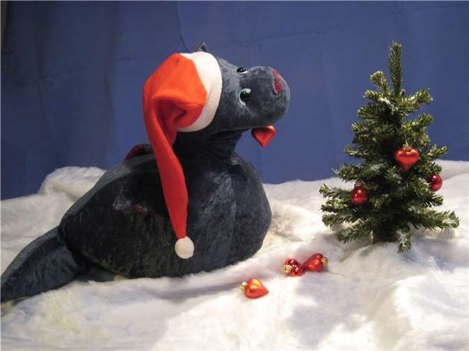 Das Puppentheaterstück „Weihnachtszauber mit dem kleinen Drachen Otto“ ist geeignet für Kinder ab 4 Jahren sowie theaterbegeisterte Erwachsene.  Foto: Happy-End Figutentheater/Susanne End