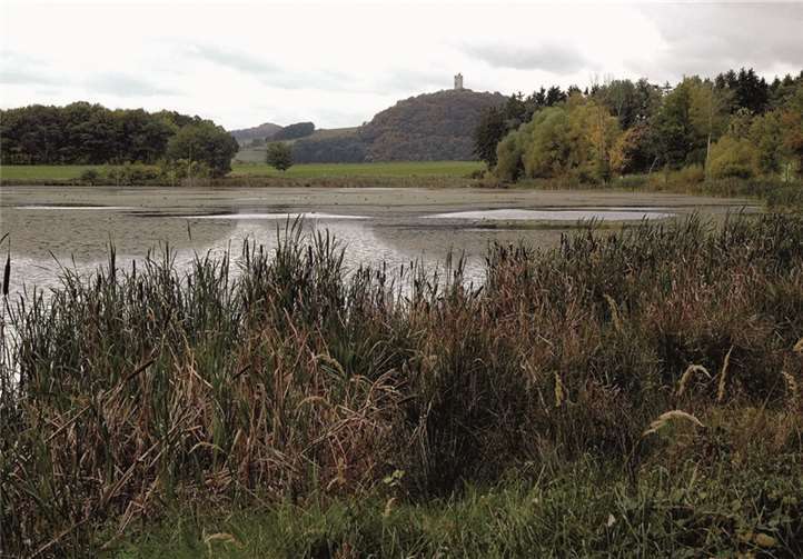 Das Rodder Maar mit Burgruine Olbrück im Hintergrund. privat