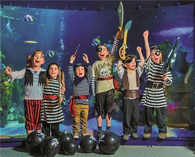 Das SEA LIFE Königswinter steht in diesem Sommer ganz unter dem Zeichen der Totenkopf-Flagge. Viele tolle Mitmach-Aktionen werden angeboten. Ulrich Perrey