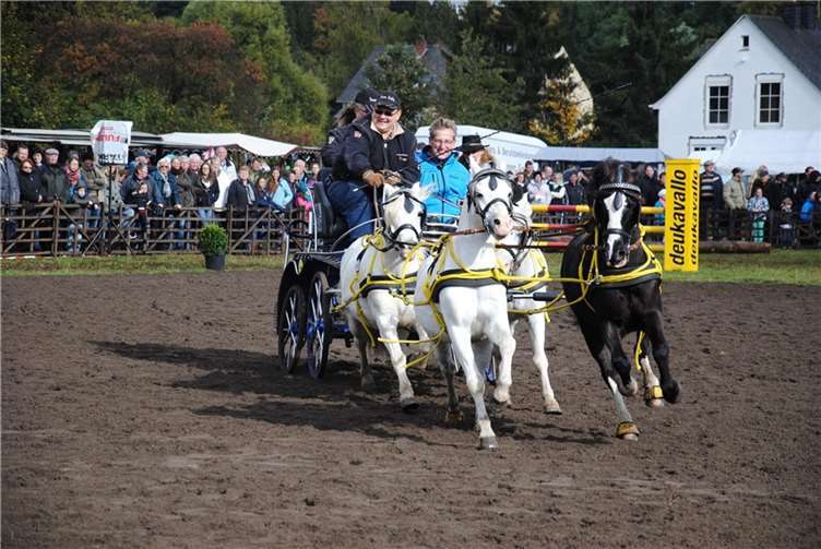Das Schauprogramm am Lukasmarktdienstag ist eines der Highlights des Pferdemarktes.  Foto: Stadt Mayen