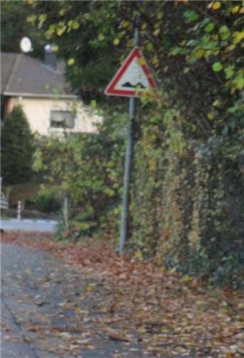 Das Schild ist nur in den Wintermonaten gut sichtbar. privat