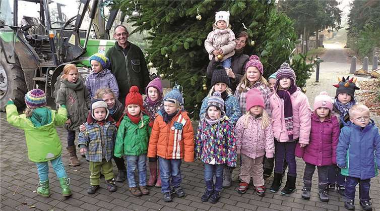 Das Schmücken des Weihnachtsbaumes ist bereits Tradition geworden und begeistert die Kinder immer wieder. privat