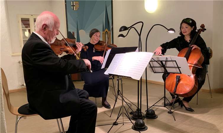 Das Schöbel-Trio beim Kammermusik-Abend im Zehnthaus.Foto: privat
